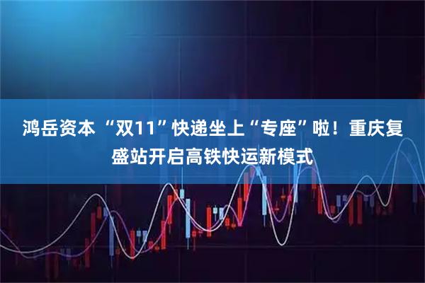 鸿岳资本 “双11”快递坐上“专座”啦！重庆复盛站开启高铁快运新模式