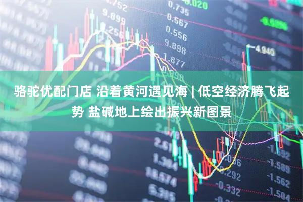 骆驼优配门店 沿着黄河遇见海 | 低空经济腾飞起势 盐碱地上绘出振兴新图景