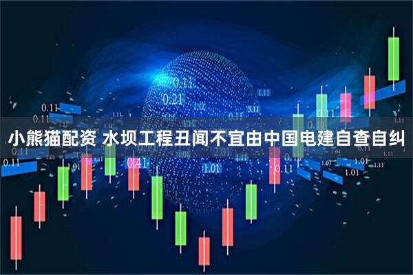 小熊猫配资 水坝工程丑闻不宜由中国电建自查自纠