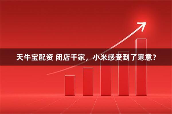 天牛宝配资 闭店千家，小米感受到了寒意？