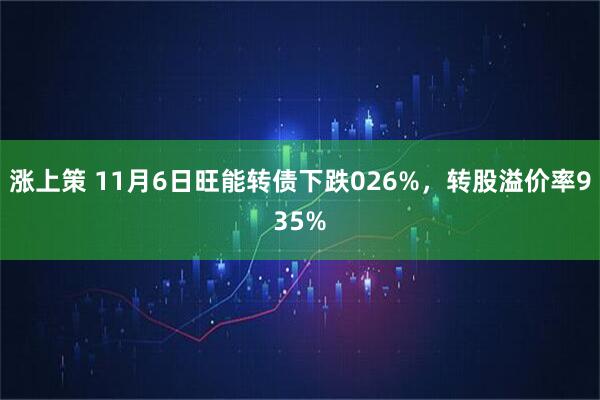 涨上策 11月6日旺能转债下跌026%，转股溢价率935%